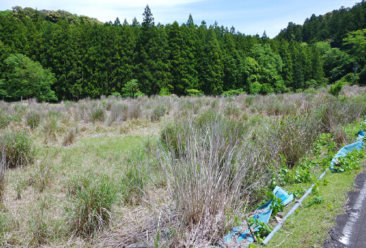 農地や山林など宅地以外の取り扱い