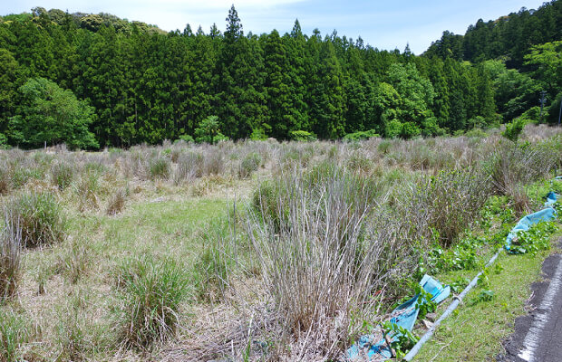 他社で断られた物件も取り扱い可能