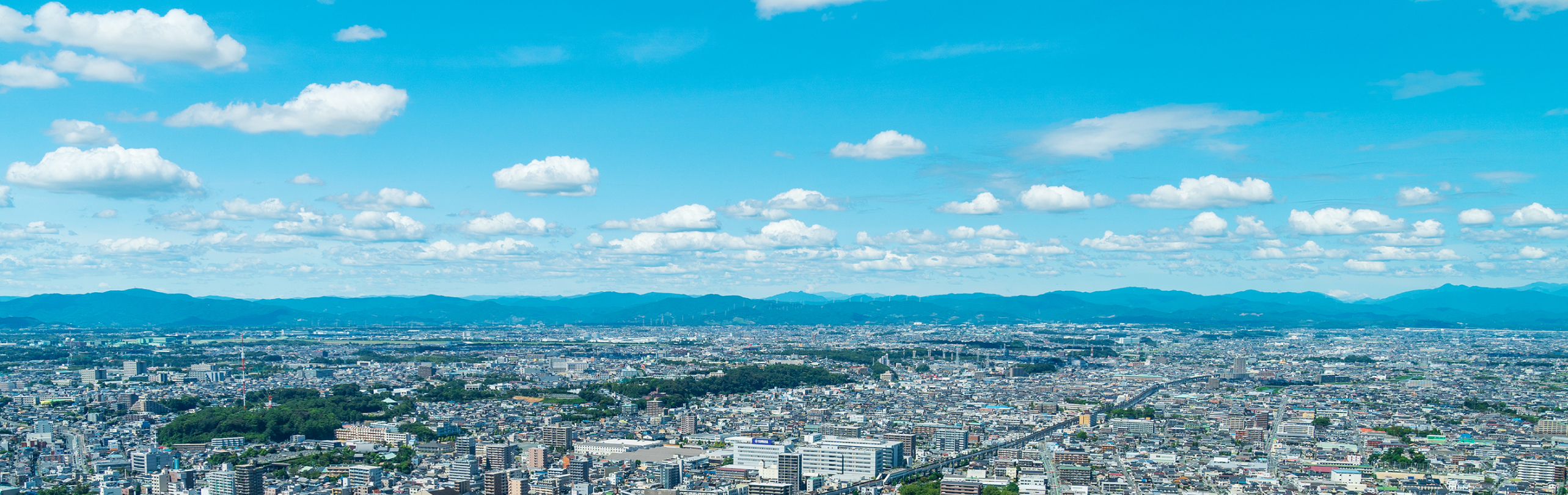 お知らせ&最新情報